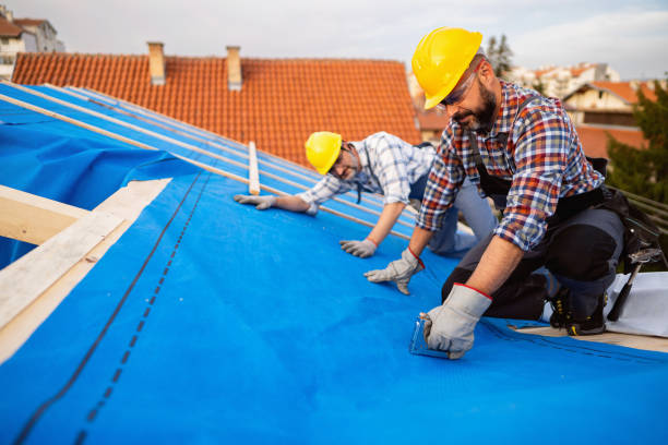 Best Metal Roofing Contractor  in Newpt, OR